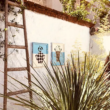 Mina By Adda Alacati *